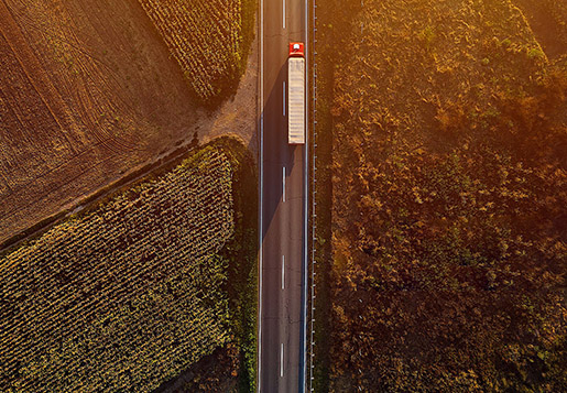 Road transport